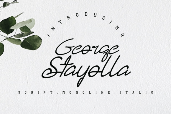 Discover the Elegance of George Stayolla Font