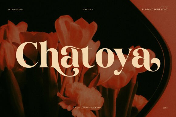 Discovering the Warmth and Refinement of Chatoya Font