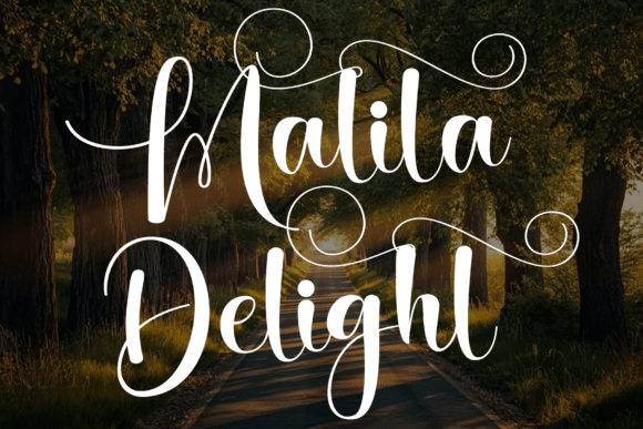 Malila Delight: An Elegant Calligraphic Display Font